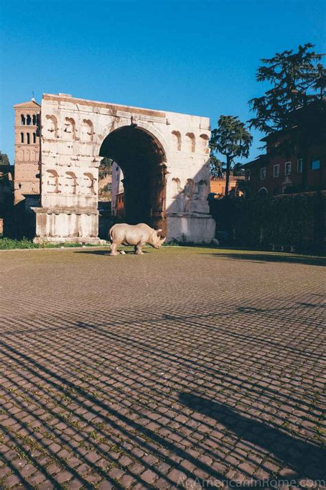 alda fendi rhinoceros.